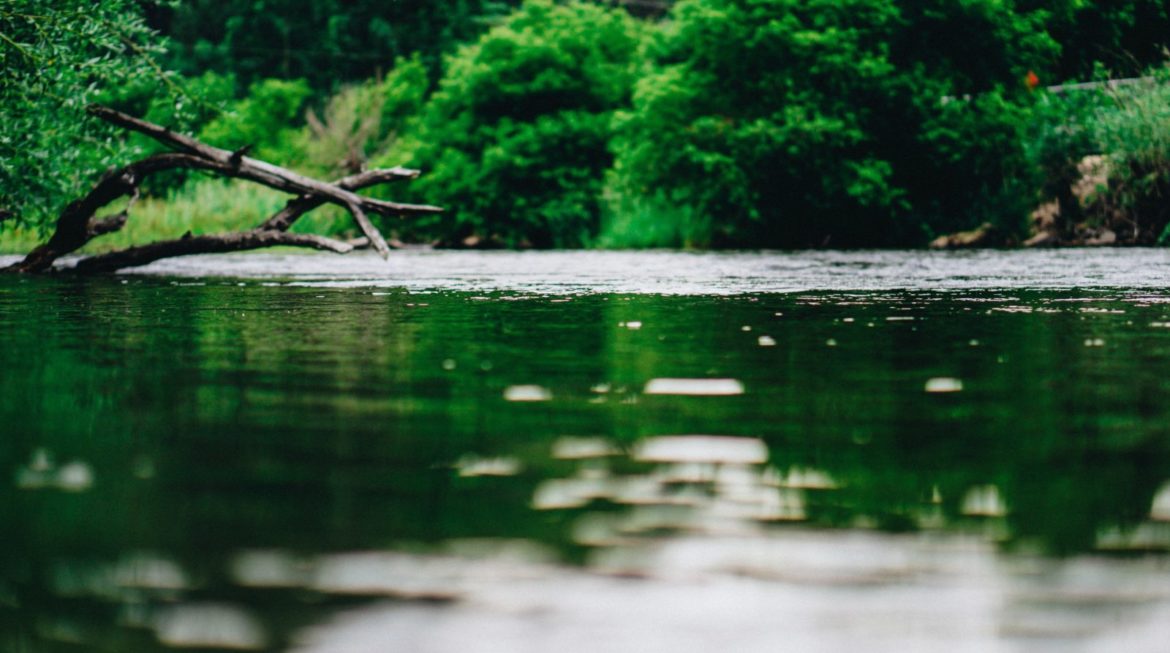 Qualité de l’eau à Joyeuse et Rosières