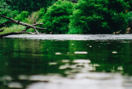 Qualité de l’eau à Joyeuse et Rosières